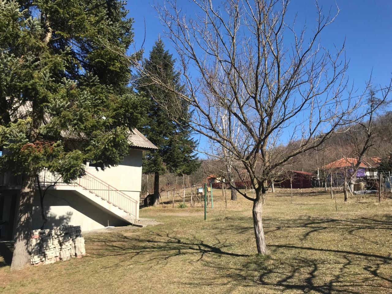 Apartman “Reka Gradac” 瓦列沃 外观 照片
